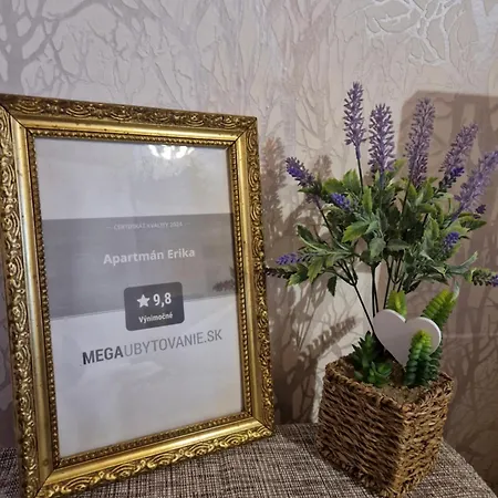 Apartamento Erika - *