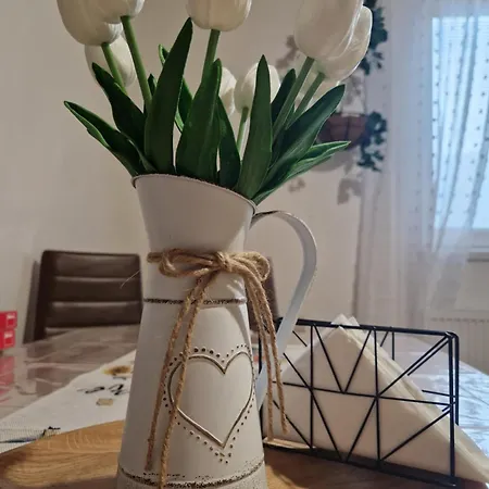 Erika - Apartment