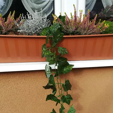 Apartament Erika - *